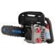 Piła Pilarka Spalinowa Regulowana 25.4 Cc 750W 25,5-30 CM-1
